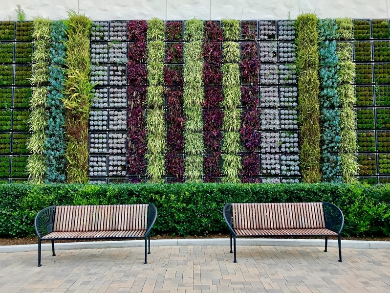 Green Walls / Vertical Garden Services in Hyderabad