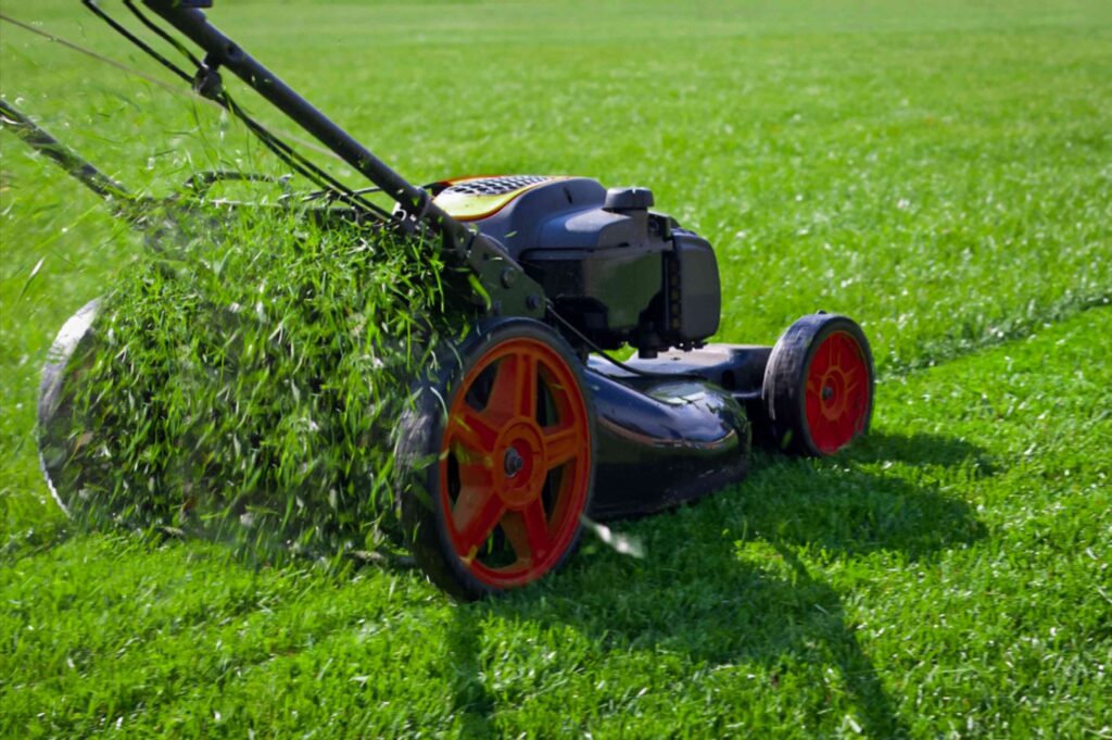 Lawn Care & Maintenance Services in Hyderabad