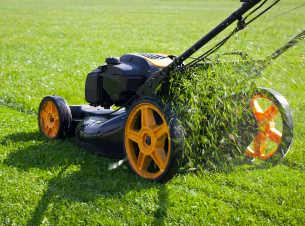 Lawn Care Maintenance